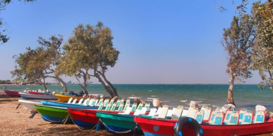 Tourist Services